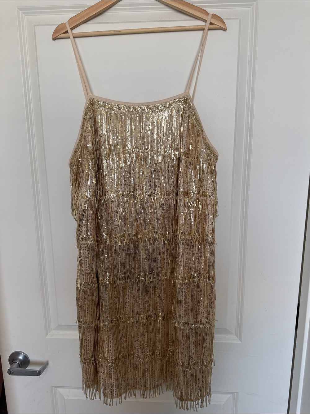 Gold Sequin Fringe Dress